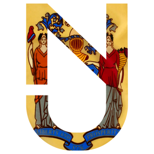 Official NJ logo