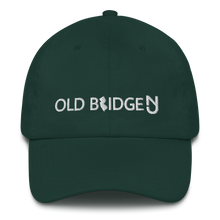 Load image into Gallery viewer, Old Bridg Dad Hat